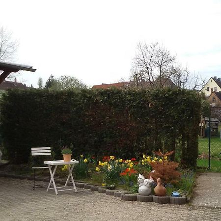 Wendler'S Haus Daire Meuselwitz Dış mekan fotoğraf