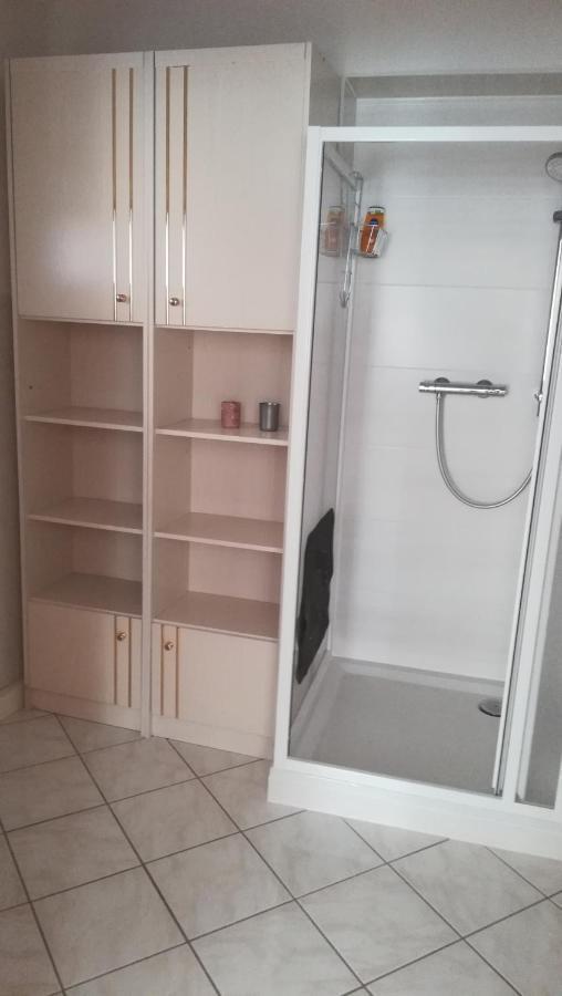 Wendler'S Haus Daire Meuselwitz Dış mekan fotoğraf